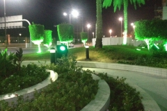 IMG_0186 (2)
