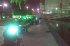 IMG_0187 (2)