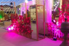 Weddings12