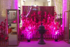 Weddings9