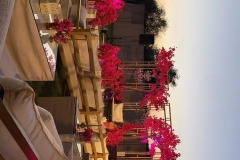 Weddings16
