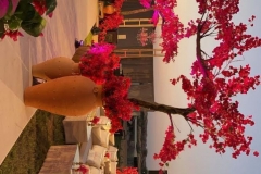 Weddings17