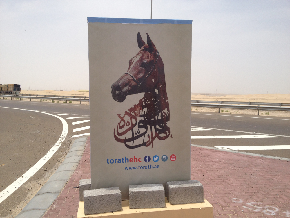 Bouthieb Stables Abu Dhabi
