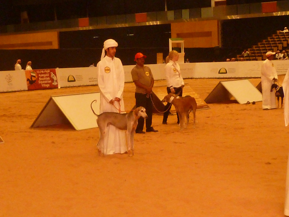 ADNEC